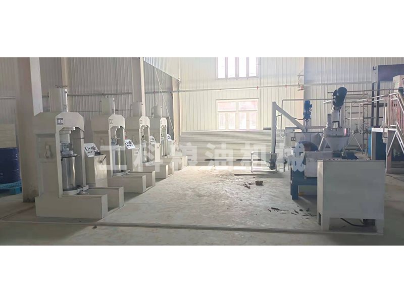 核桃油压榨设备安装现场